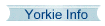 Yorkie Info